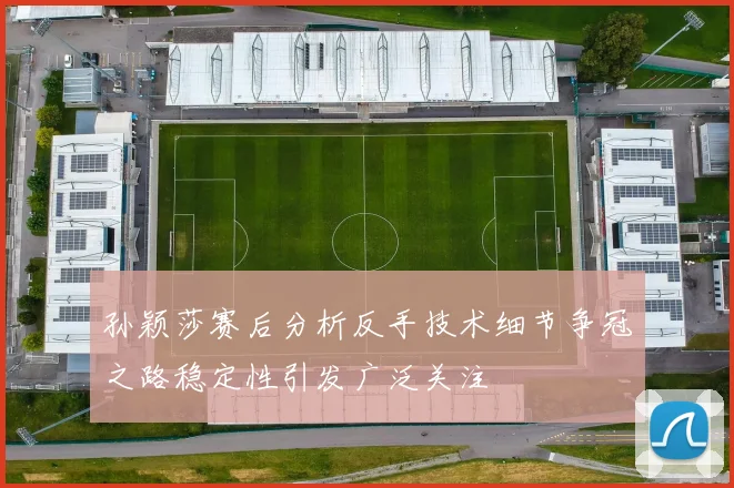 孙颖莎赛后分析反手技术细节争冠之路稳定性引发广泛关注